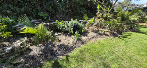 Photo de galerie - Paysagiste - Aménagement du jardin