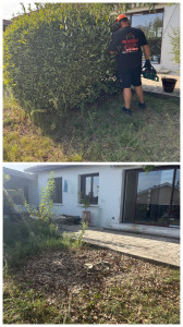 Photo de galerie - Élagage abattage