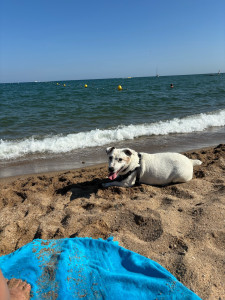 Photo de galerie - à la plage 