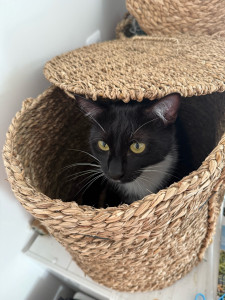 Photo de galerie - Poppy