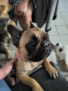 Photo de galerie - Soyra et Guizmo ❤️