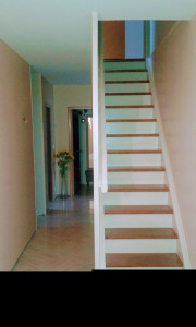 Photo de galerie - Mise en peinture des murs et escalier