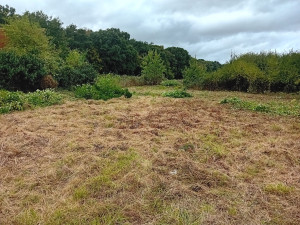 Photo de galerie - 2eme jours