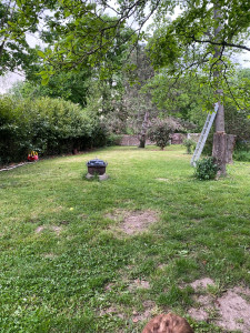 Photo de galerie - Tonte de pelouse - Débroussaillage