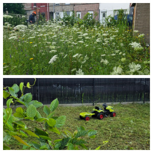 Photo de galerie - Tonte de pelouse - Débroussaillage