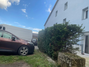 Photo de galerie - Haies endommagé mais rafraichit 