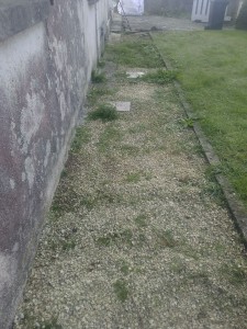 Photo de galerie - Tonte de pelouse - Débroussaillage