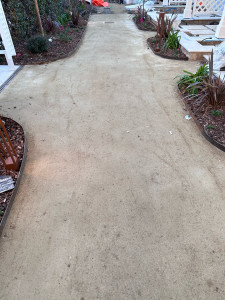 Photo de galerie -  Je propose la création d’un chemin avec pose de platines sur une base de sable bien compacté. Le travail comprend la préparation du sol, le nivellement, le compactage du sable et la pose soignée des platines 