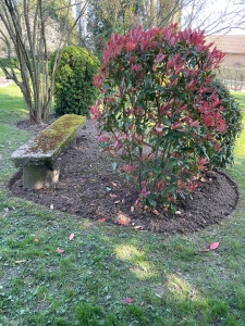 Photo de galerie - Désherbage, plus bordures.