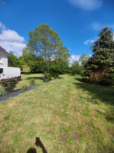 Photo de galerie - Tonte et débroussaillage d'un grand jardin 