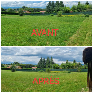 Photo de galerie - Tonte de pelouse - Débroussaillage