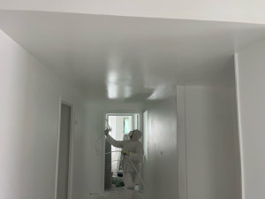 Photo de galerie - Juint calico ponçage peinture finition 