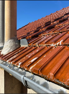 Photo de galerie - Nettoyage de toit avec le Dalep 2100