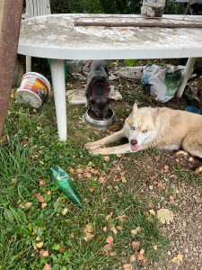 Photo de galerie - Bonne entente 