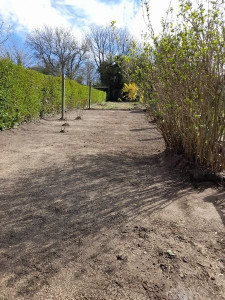 Photo de galerie - Paysagiste - Aménagement du jardin