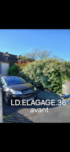 Photo de galerie - Taille de haies et d'arbustes