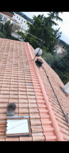 Photo de galerie - Régressage des faîtages effect avec ciment fibré fibré , finition résine colorée imperméabilisant sur l'ensemble du faîtage . 