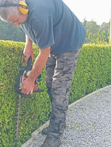 Photo de galerie - Taille de haie, arbustes et arbres fruitiers 