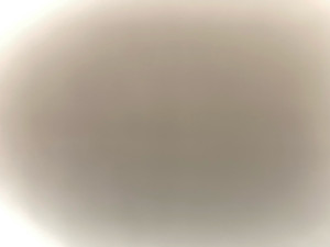 Photo de galerie - Entretien jardin + réalisation , Bricolage sur tout type 