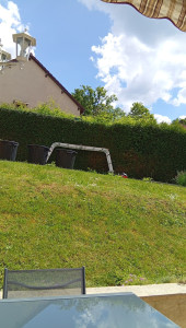 Photo de galerie - Taille d'une haie de thuya