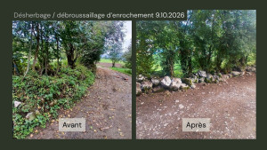 Photo de galerie - Tonte de pelouse - Débroussaillage