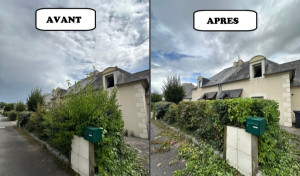 Photo de galerie - Taille de haies et d'arbustes