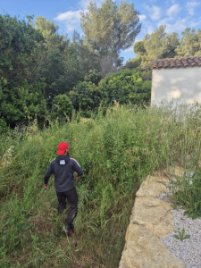 Photo de galerie - Tonte de pelouse - Débroussaillage