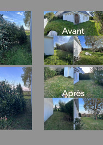 Photo de galerie - Remise en état d'une pelouse