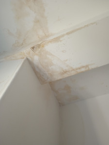 Photo de galerie - Peinture / Enduit