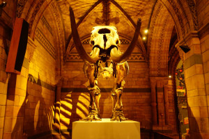 Photo de galerie - Photographe