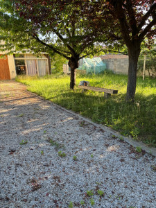 Photo de galerie - Tonte, débroussaillage, désherbage manuel des allées 