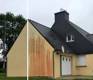 Photo de galerie - Tout type de Netoyage