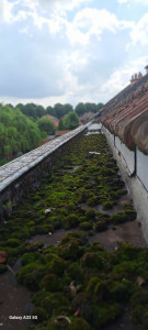 Photo de galerie - Travaux de Réféction de chenaux .Fuite et mauvais etat 