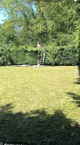 Photo de galerie - Taille tout type de haie et d'arbustes