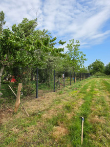Photo de galerie - Pose de grillage rigide 