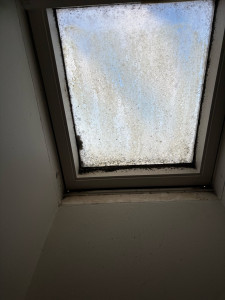 Photo de galerie - Ménage