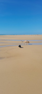 Photo de galerie - Mes 3 amours à la mer .