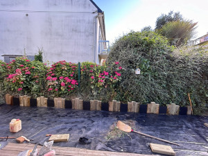 Photo de galerie - Paysagiste - Aménagement du jardin