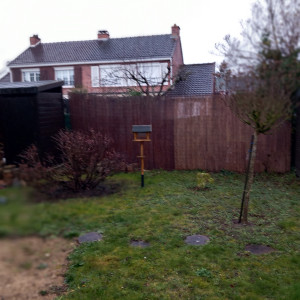 Photo de galerie - Paysagiste - Aménagement du jardin