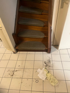 Photo de galerie - Avant 