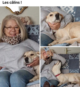 Photo de galerie - Garde animaux