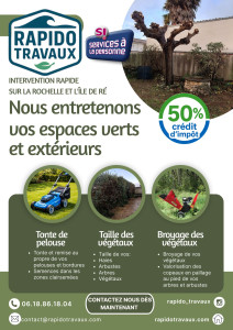 Photo de galerie - Taille de haies et d'arbustes