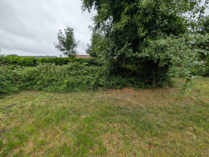 Photo de galerie - Débroussaillage ronces avant 