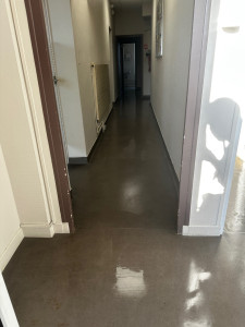 Photo de galerie - Ménage 