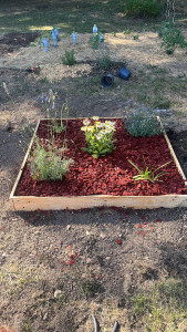 Photo de galerie - Paysagiste - Aménagement du jardin