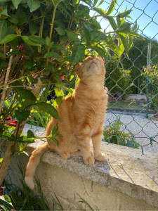 Photo de galerie - ?