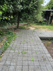 Photo de galerie - Jardinier