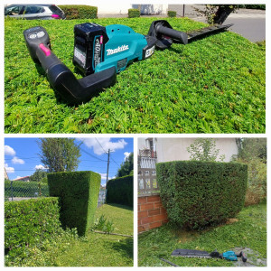 Photo de galerie - Taille de haies et d'arbustes