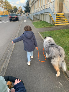 Photo de galerie - Aller chercher les enfants à l'école avec (ou sans) un gentil chien