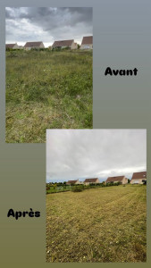 Photo de galerie - Débroussaillage et tonte d’un jardin abandonné. 